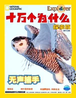 十万个为什么杂志
